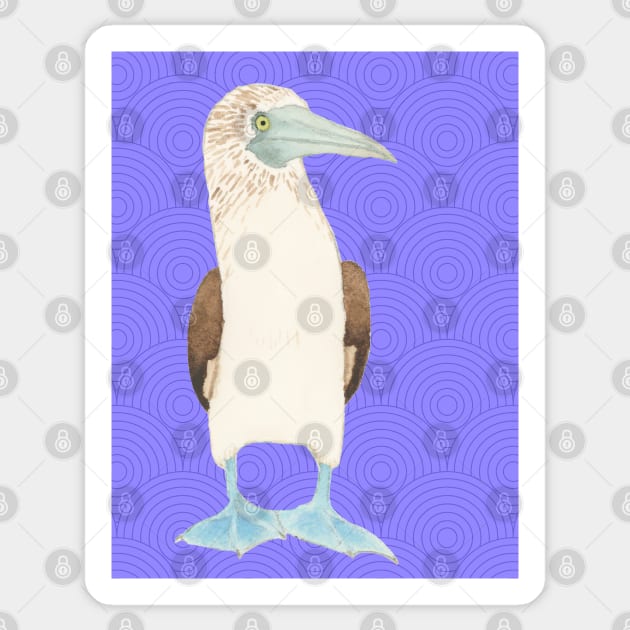 Blue Footed Booby Against Purple Background Sticker by VegShop